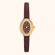Watch with gold case and brown leather strap on a white background